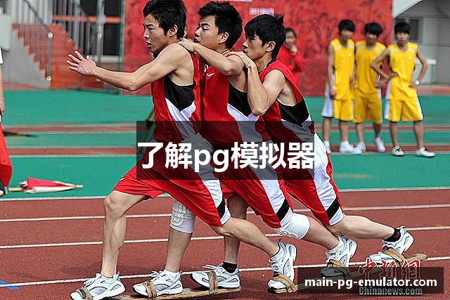 了解pg模拟器
